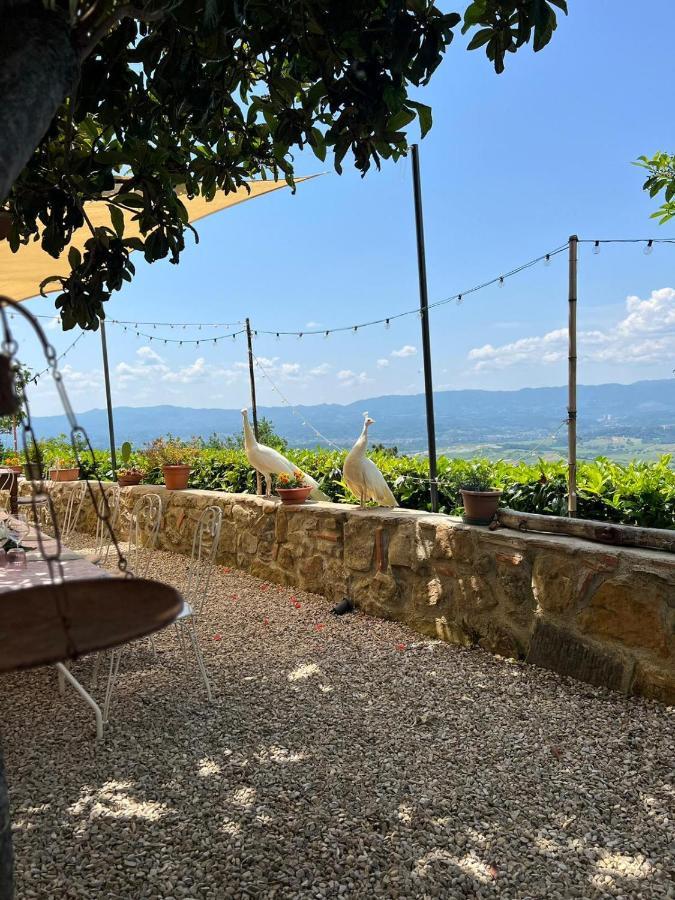 Agriturismo I Millepini Case Malva Kültér fotó