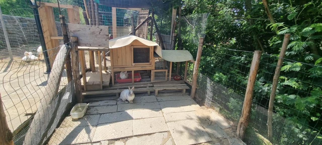 Agriturismo I Millepini Case Malva Kültér fotó